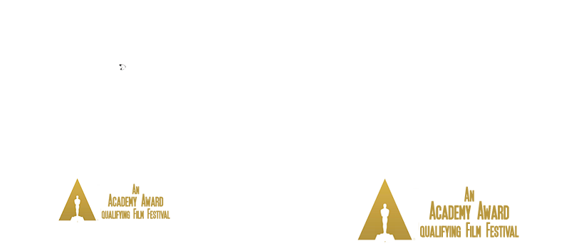 Short film distribution: official selection to qualifing Oscar