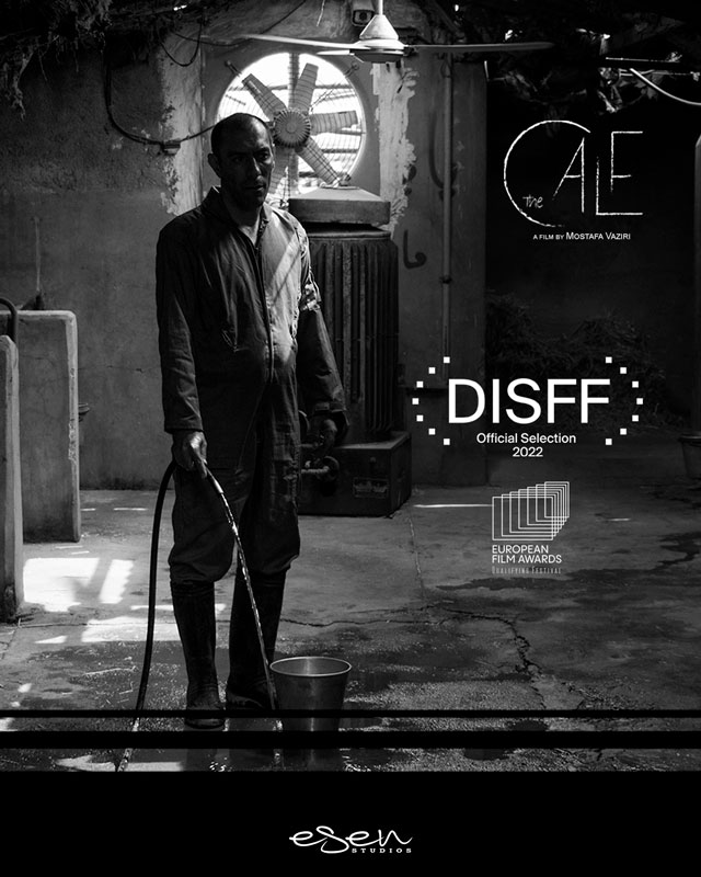 Short film distribution: "The Calf" at DISFF