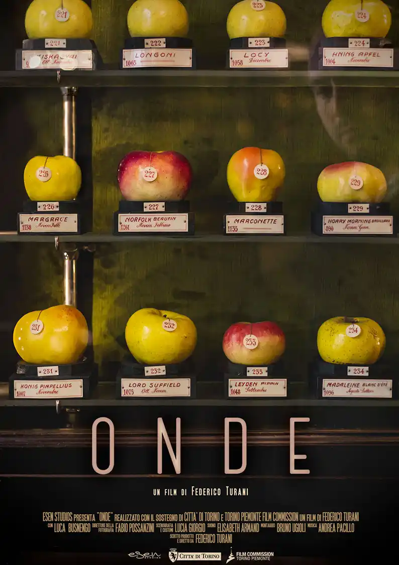 Distribuzione cortometraggi: poster del film "Onde"