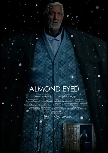 Short films distribution: "Almond Eyed" by Javad Hakami