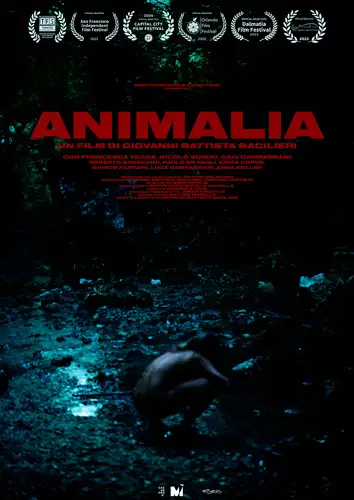 Distribuzione cortometraggi: "Animalia"