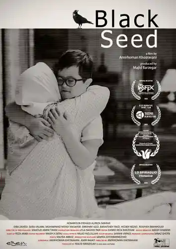 Short films distribution: "Black Seed".