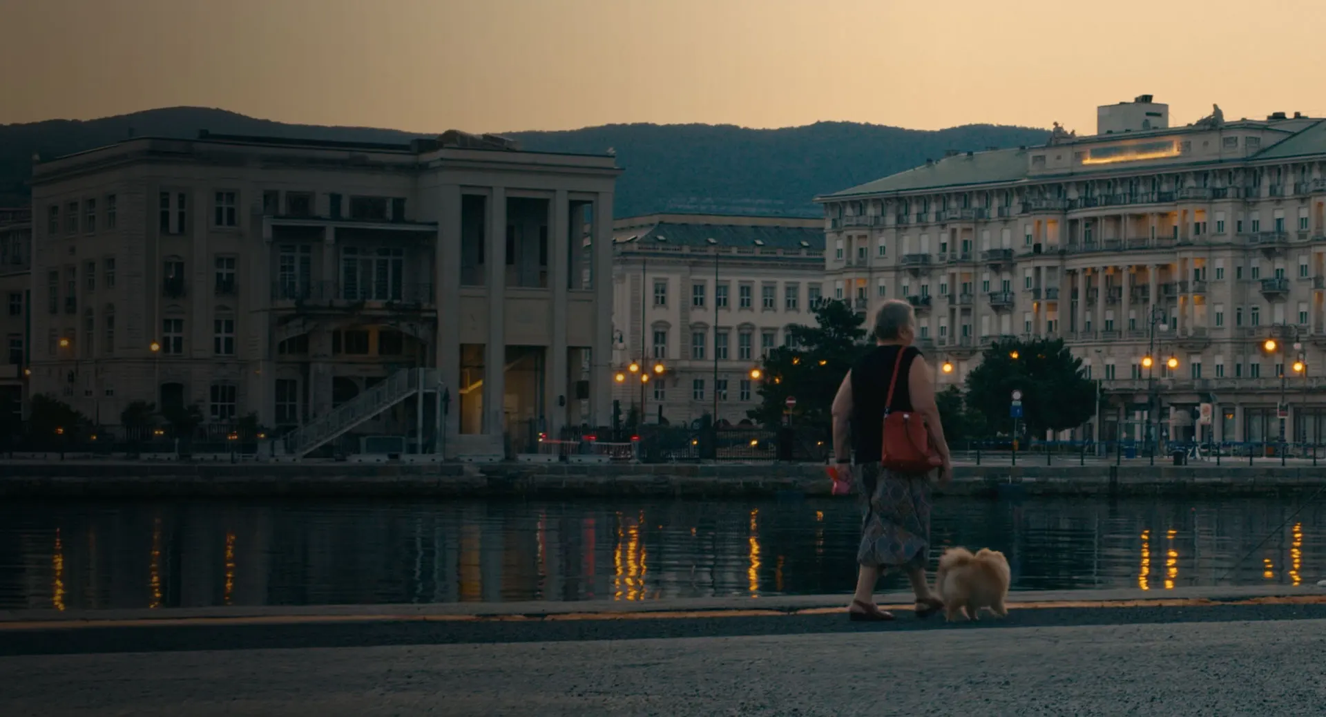 Distribuzione del documentario "Il Vento Cambia" di Emma Manestovich
